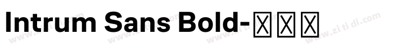 Intrum Sans Bold字体转换
